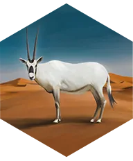 Arabian Oryx Avatar